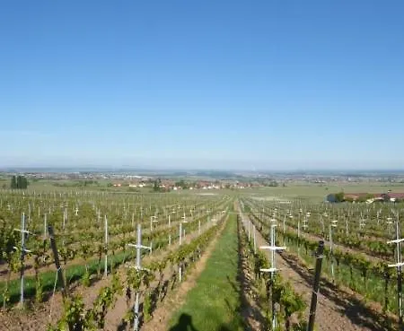 Zum Kronprinzen Garni Weyher