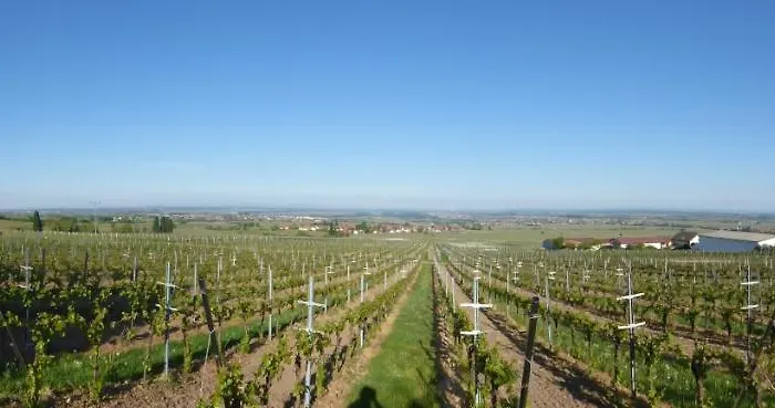 Zum Kronprinzen Garni Weyher