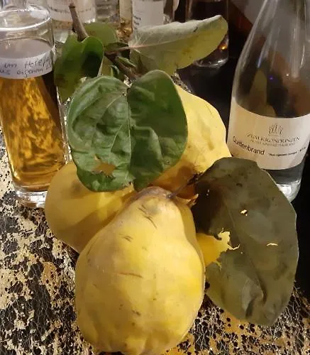 Zum Kronprinzen Garni 酒店 Weyher